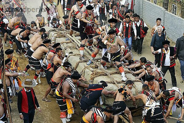 Steinzieh-Zeremonie während des Kisima Nagaland Hornbill Festivals  Kohima  Nagaland  Indien  Asien