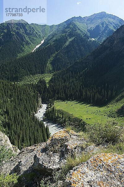 Naryn-Schlucht  Bergfluss  Region Naryn  Kirgisistan
