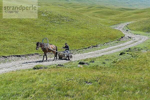 Kirgisischer Mann trägt Milchtank auf einem Pferdewagen  Sary Jaz Tal  Issyk Kul Region  Kirgisistan