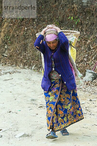 Alte nepalesische Frau trägt Steine für den Straßenbau auf dem Rücken  Bergdorf Dhampus  Nepal  Asien