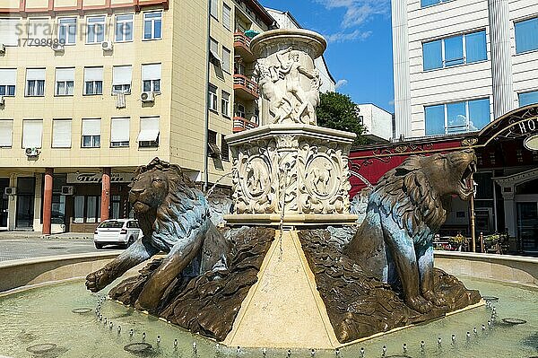 Stadtzentrum  Löwenstatue-Brunnen  Skopje  Mazedonien  Europa