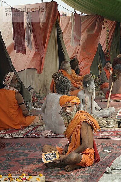 Sadhus vor einem Zelt  Nur für redaktionelle Zwecke  Allahabad Kumbh Mela  größte religiöse Versammlung der Welt  Uttar Pradesh  Indien  Asien