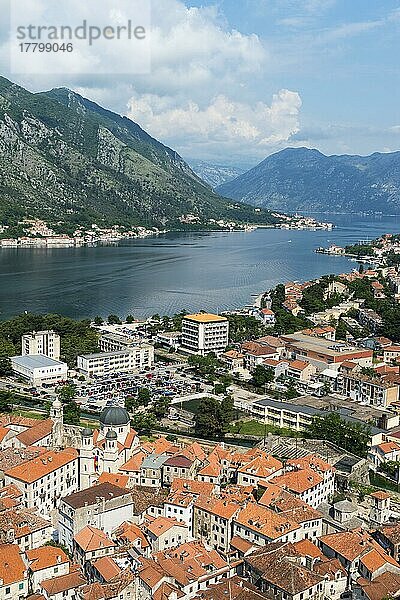 Altstadt von Kotor  Unesco-Weltkulturerbe  Kotor  Montenegro  Europa