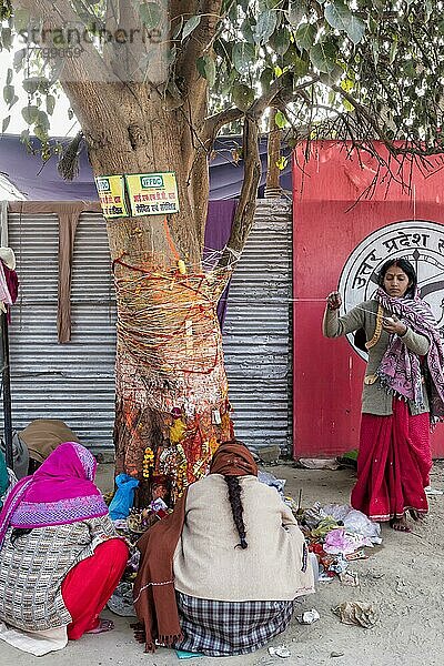 Indische Frauen umkreisen den Bodhi-Baum. Allahabad Kumbh Mela  die größte religiöse Versammlung der Welt  Uttar Pradesh  Indien  Asien