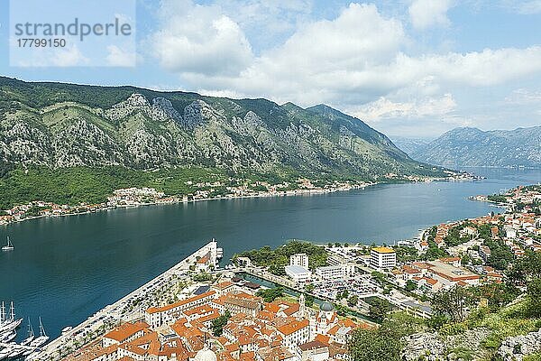 Altstadt von Kotor  Unesco-Weltkulturerbe  Kotor  Montenegro  Europa