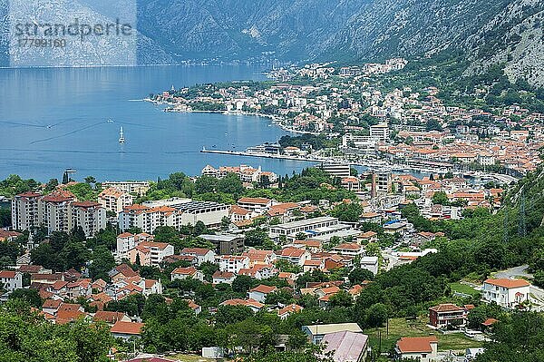 Kotor und die von Bergen umgebene Bucht von Kotor  Unesco-Weltkulturerbe  Kotor  Montenegro  Europa