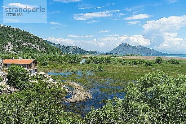 Skandar See und überschwemmtes Feld  Virpazar  Montenegro  Europa