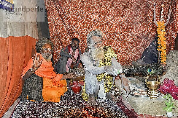 Sadhu bedeckt mit weißer Asche im Zelt  For Editorial Use Only  Allahabad Kumbh Mela  World's largest religious gathering  Uttar Pradesh  Indien  Asien