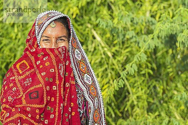 Verschleierte Ahir-Frau in traditionellem bunten Tuch  Great Rann of Kutch Wüste  Gujarat  Indien  Asien