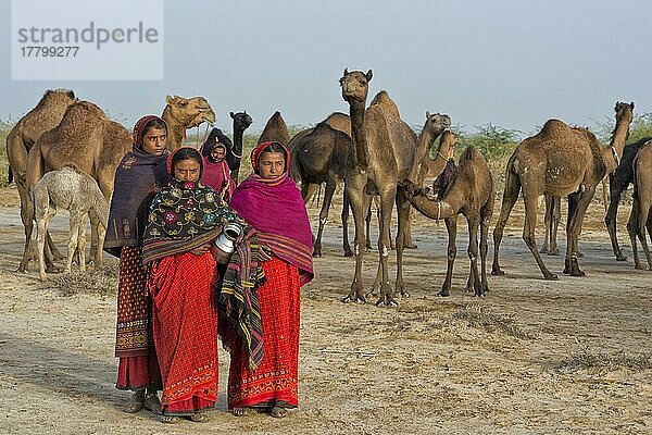 Fakirani-Frauen in traditioneller Kleidung mit einem Wasserkrug  Great Rann of Kutch Wüste  Gujarat  Indien  Asien