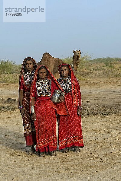 Fakirani-Frauen in traditioneller Kleidung mit einem Wasserkrug  Great Rann of Kutch Wüste  Gujarat  Indien  Asien