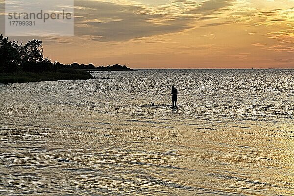 Sonnenlicht glitzert auf dem Meer  Menschen  Silhouetten in der Ostsee  Abendhimmel bei Sonnenuntergang  Burgsvik  Insel Gotland  Schweden  Europa