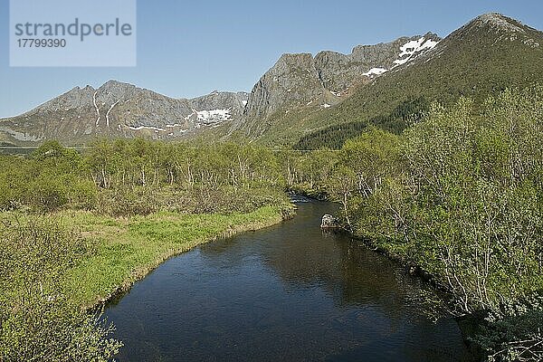 Flusslandschaft  Austvagsoya  Lofoten  Norwegen  Europa