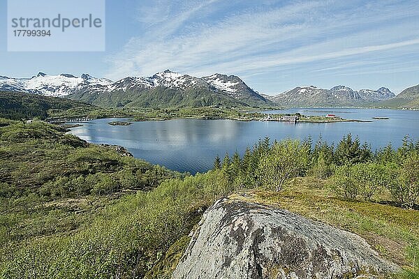 Aussichtspunkt Austneset  Svolvaer  Norwegen  Europa