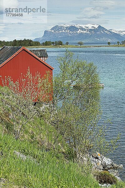 Hütte am See  Sorvik  Norwegen  Europa