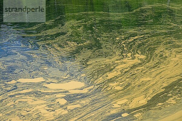 Wasseroberfläche  Blütenstaub auf dem Wasser  Plansee  bei Reutte  Tirol  Österreich  Europa