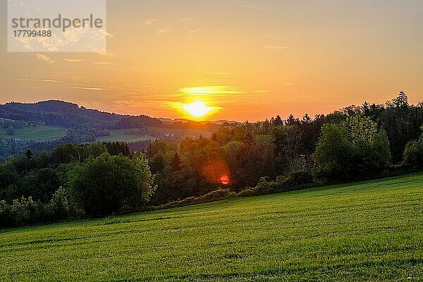 Sonnenaufgang Ahornleiten  bei St. Georgen an der Leys  Texingtal  Mostviertel  Niederösterreich  Österreich  Europa