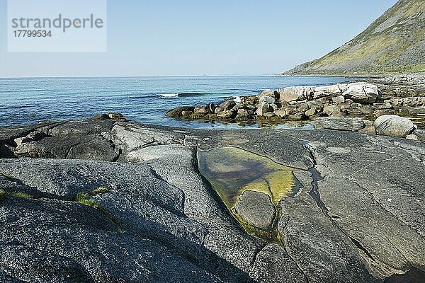 Felsiger Strand  Austvagsoya  Lofoten  Norwegen  Europa