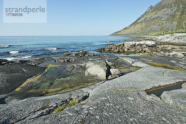 Felsiger Strand  Austvagsoya  Lofoten  Norwegen  Europa