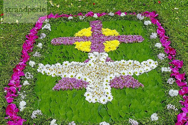 Blumenteppich  Taube  Fronleichnamsprozession  Fronleichnamszug  Festzug Pfarrrkirche St. Kilian  Bad Heilbrunn  Oberbayern  Bayern  Deutschland  Europa