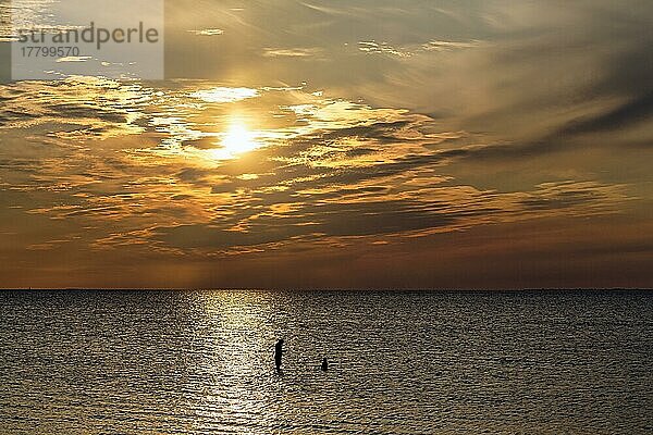 Sonnenlicht glitzert auf dem Meer  Menschen  Silhouetten in der Ostsee  Abendhimmel bei Sonnenuntergang  Burgsvik  Insel Gotland  Schweden  Europa