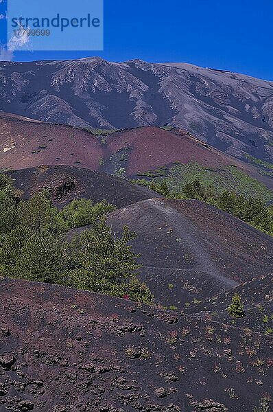 Rundwanderweg um Monti Sartorius  rote Lavasteine  Vulkanerde  Ausblick auf Baby Krater  im HIntergrund Vulkan Ätna  Sizilien  Italien  Europa