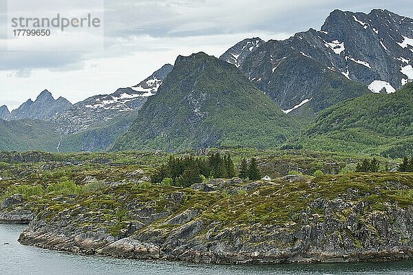 Landschaft am Trollfjord  Lofoten  Norwegen  Europa