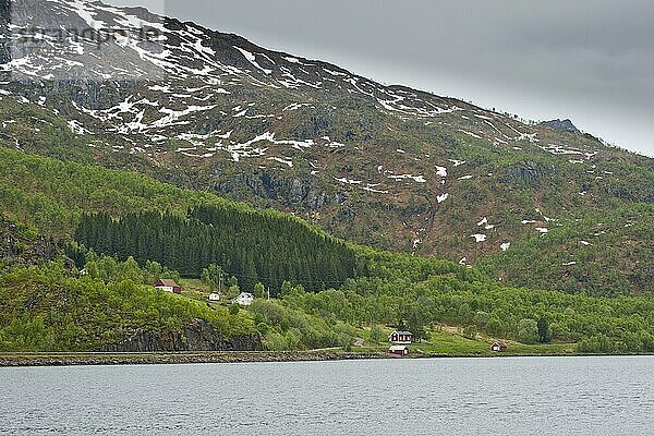 Landschaft am Trollfjord  Lofoten  Norwegen  Europa