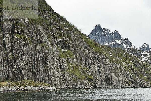 Landschaft am Trollfjord  Lofoten  Norwegen  Europa