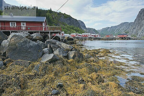 Nusfjord  altes Fischerdorf  Lofoten  Norwegen  Europa