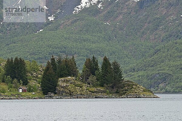 Landschaft am Trollfjord  Lofoten  Norwegen  Europa