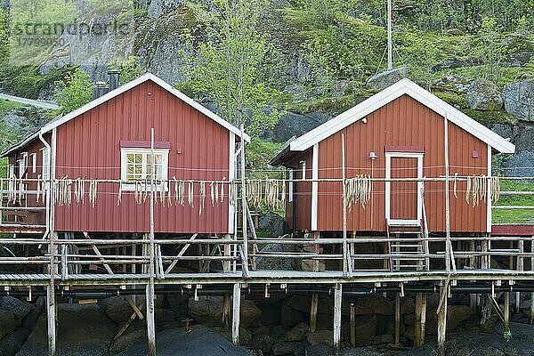 Nusfjord  altes Fischerdorf  Lofoten  Norwegen  Europa
