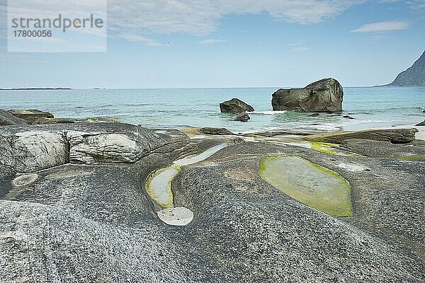 Strandlandschaft  Vestvagoy  Lofoten  Norwegen  Europa