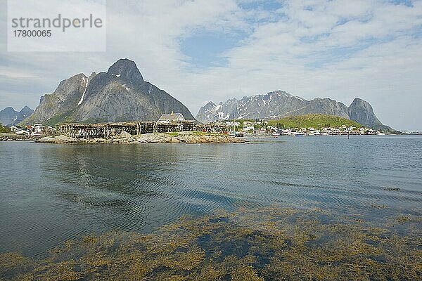 Reine  Lofoten  Norwegen  Europa