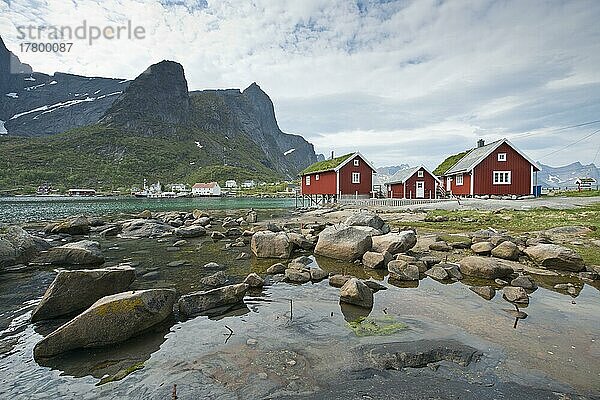 Reine  Lofoten  Norwegen  Europa