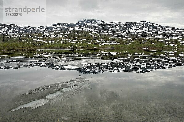 Fjordlandschaft  Gratangen  Norwegen  Europa