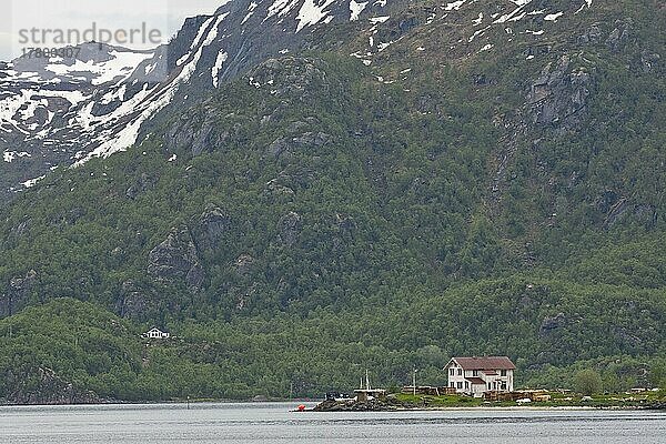 Landschaft am Trollfjord  Lofoten  Norwegen  Europa