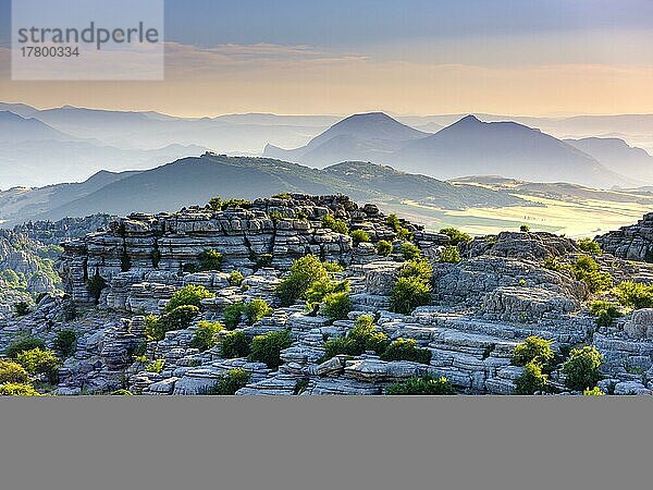 Felsformationen aus Kalkstein  Naturschutzgebiet El Torcal  Torcal de Antequera  Provinz Malaga  Andalusien  Spanien  Europa