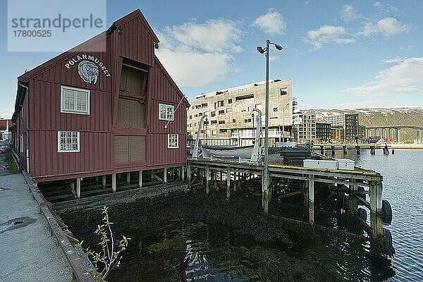 Polarmuseum  Tromso  Norwegen  Europa