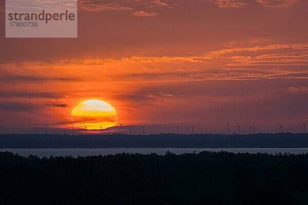 Sonnenaufgang über dem Steinhuder Meer  Niedersachsen