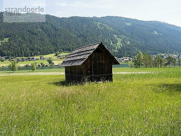 Heuhütte  Westufer vom Weißensee  Kärnten  Österreich  Europa