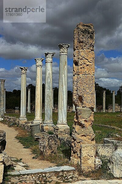 Salamis  griechisch Salamina  lateinisch Constantia  eisenzeitliches Stadtkönigreich und antike Stadt  erbaut in 12. Jh. v. Chr. an der Mündung des Pediaios im Osten der Mittelmeerinsel Zypern  etwa 6 km noerdlich des heutigen Famagusta  Säulen des Gymnasion  Nordzypern