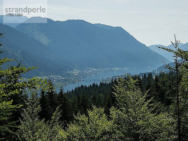 Ausblick vom Aussichtspunkt Franz Josefs Höhe auf den Weißensee  Kärnten  Österreich  Europa