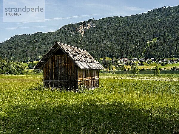 Heuhütte bei Techendorf am Weißensee  Kärnten  Österreich  Europa