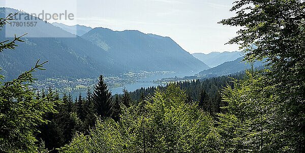 Ausblick vom Aussichtspunkt Franz Josefs Höhe auf den Weißensee  Kärnten  Österreich  Europa