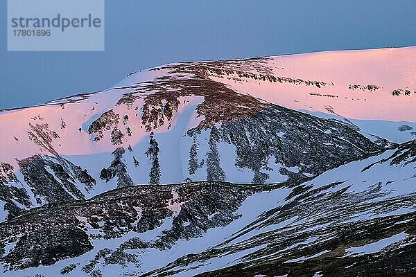 Bergspitzen mit Schnee im Abendlicht  Halbinsel Snæfellsnes  Vesturland  Island  Europa