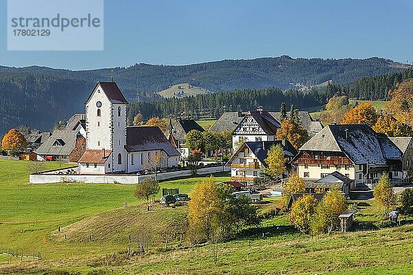 Lenzkirch-Saig im Herbst  Schwarzwald  Baden-Württemberg  Deutschland  Lenzkirch-Saig  Schwarzwald  Baden-Württemberg  Deutschland  Europa