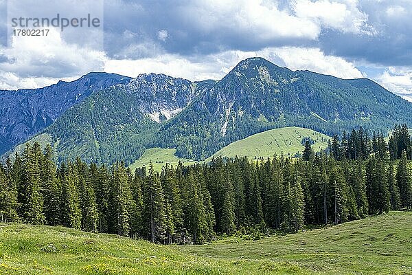 Postalm im Salzkammergut  Strobl  Salzburg  Österreich  Europa