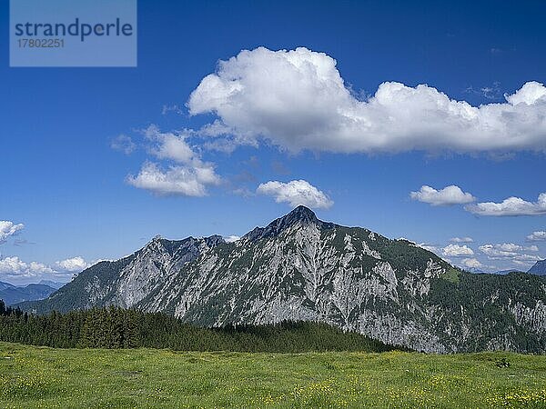 Postalm im Salzkammergut  Strobl  Salzburg  Österreich  Europa