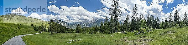 Postalm im Salzkammergut  Panoramafoto  Strobl  Salzburg  Österreich  Europa